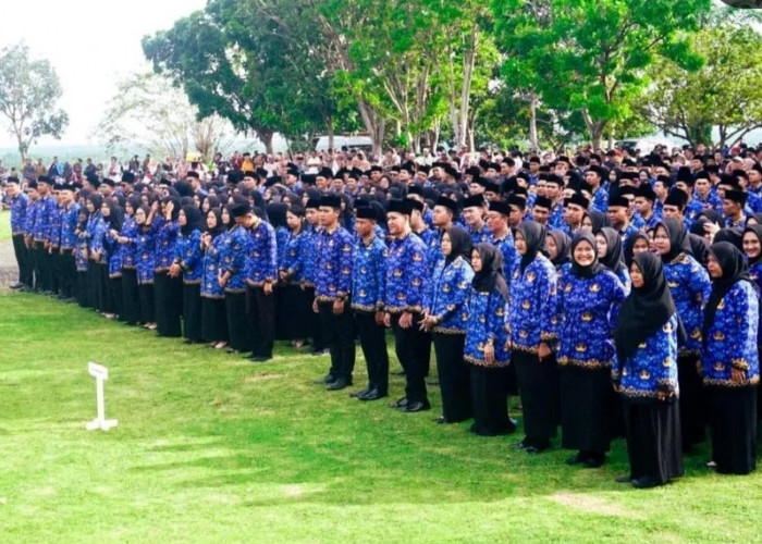  573  PPPK Seluma, Harap Pemkab Seluma Selesaikan Gaji Tertunggak