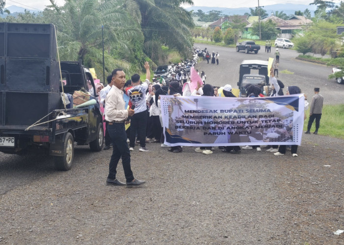  Honorer Dirumahkan, Bupati Seluma Disindir Lebih Sering di Jakarta, DPRD Ikut Disoal