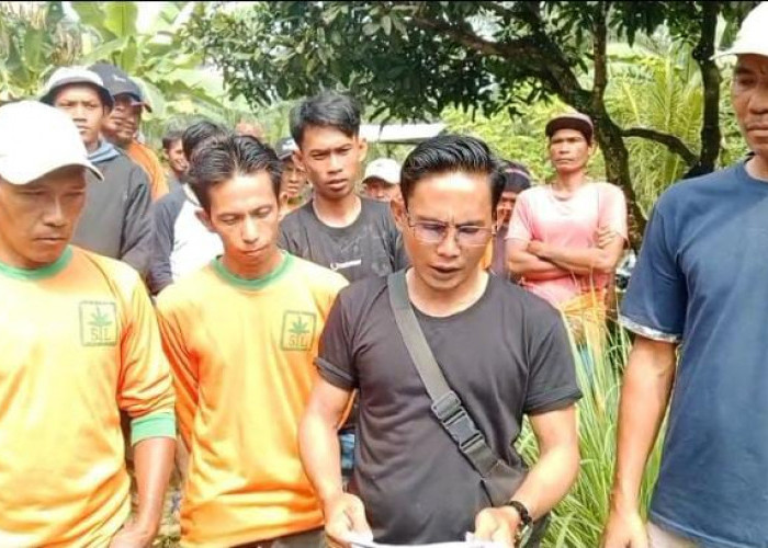 Upah Dinilai Tak Layak 135 Pemanen PT SIL Mogok Kerja, Butuh Bantuan DPRD dan Pemkab Seluma