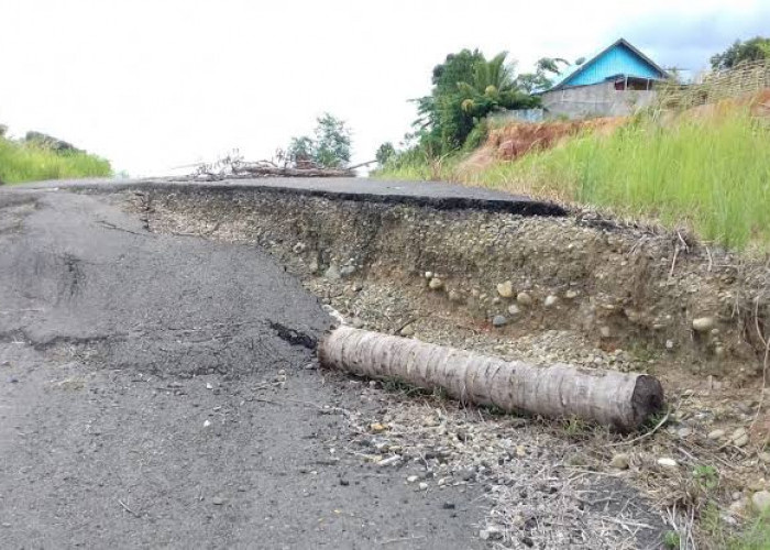 Belum Ada Tanda Diperbaiki, Jalan Alternatif Napal -Tais Tetap Rusak Parah