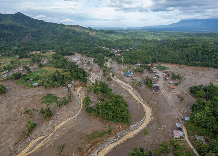 Koalisi NGO Desak Presiden Prabowo Tetapkan Status Bencana Nasional di Tiga Provinsi Sumatera 