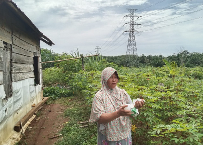 SUTT PLTU Teluk Sepang Bengkulu Beroperasi, Pengakuan Warga Banyak Dampak Buruk yang Terjadi