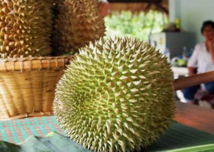  Yakin Mau Icip-icip Durian Ini? Harganya Itu Lo