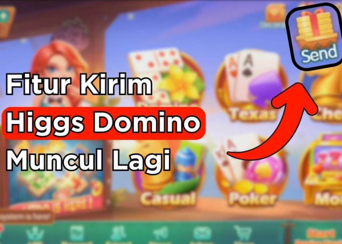 Higgs Domino Global Tersedia di Playstore, Tombol Kirim Kembali! Link Alternatif Disini