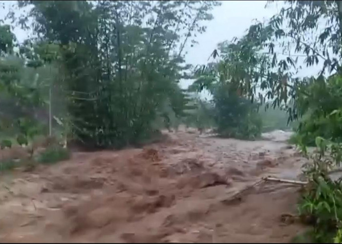 Banjir Bengkulu Bukan Bencana Alam, Walhi Sebut Kejahatan Ekologis