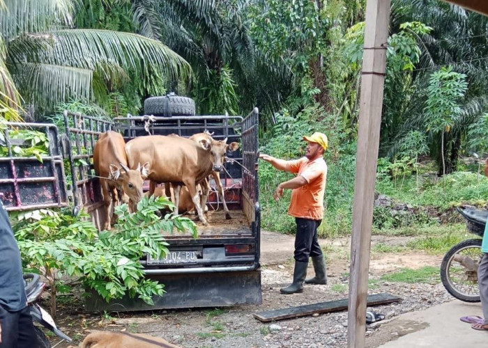 BPD Mekar Sari Laporkan Kades ke Kejari Seluma Terkait Dana Desa 2025