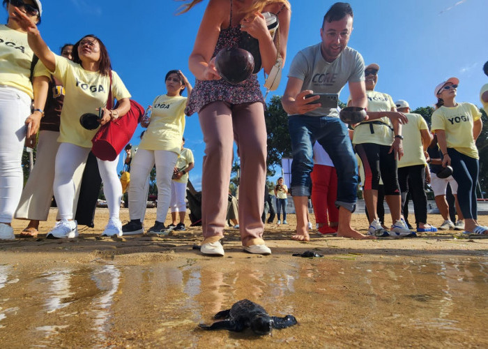 Pelepasliaran Tukik, Wujud Syukur Atas Keberkahan Dari Laut. Sanur Village Festival