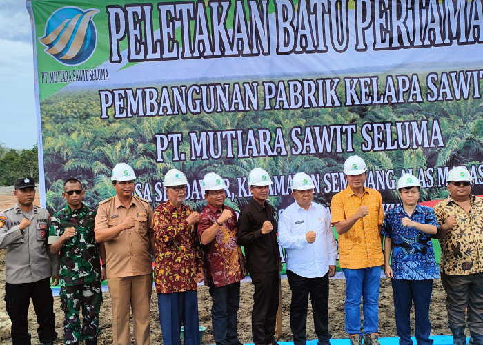  PT. MSS Bangun Pabrik di Seluma, Peletakan Batu Pertama Dilakukan Wabup