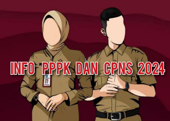 CPNS 2024, Berkah untuk Lulusan Baru dan Tenaga Honorer! Ternyata CPNS 2024 Gila-Gilaan