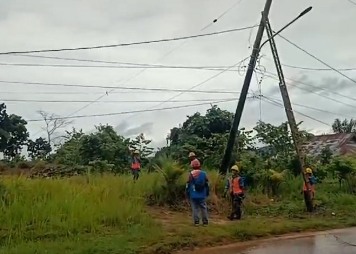 Hujan Badai, 15 Tiang Listrik di Seluma Ambruk! Lampu Mati Sampai Malam