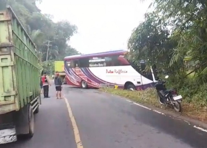 Banting Stir, Sopir Bus Putra Raflesia Selamatkan Puluhan Penumpang