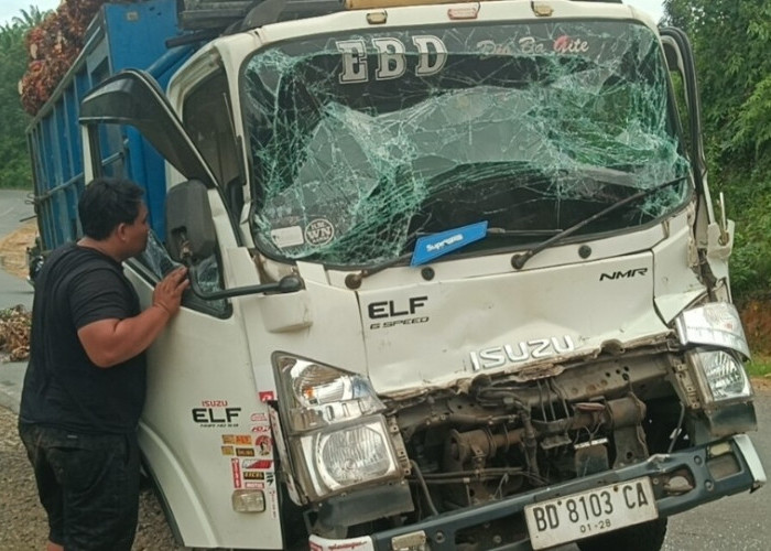 Akibat Jalan Berlubang, Dua Truk Sawit Tabrakan di Seluma, Sopir Sempat Terjepit