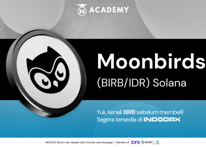  Moonbirds (BIRB), Kripto Baru  di INDODAX!