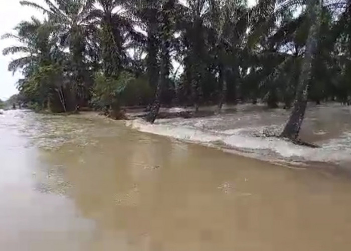    Banjir dan Tanah Longsor Landa Tiga Kawasan Kecamatan di Seluma