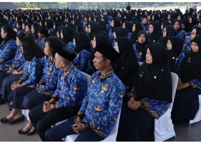 Ribuan PPPK Lulus 2023 Provinsi Bengkulu Full Senyum! Ini Alasannya......
