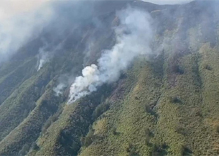 Terbakarnya Bukit Teletubbies Gunung Bromo Meluas, Sudah 200 Hektare Lahan, Sampai Kini Belum Padam!!