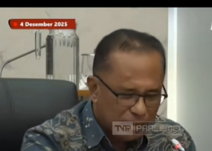 Menteri Raja Juli Dinilai Tak Paham Kehutanan, Diminta Anggota DPR Mundur Saja