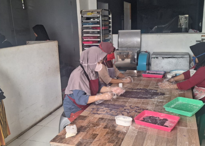 Berbekal Pinjaman Modal dan Pendampingan BRI, Perempuan Tangguh Ini Dirikan Kelompok Wanita Tani  