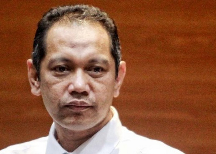   Pimpinan KPK Dukung Nawawi Jadi Ketua KPK,  Senior, Tak Ada Resistensi