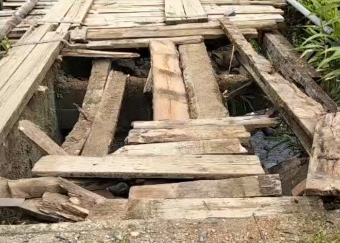 Jembatan Muara Nibung Seluma Rusak Parah, Akses Tiga Desa di Ulu Talo Terputus