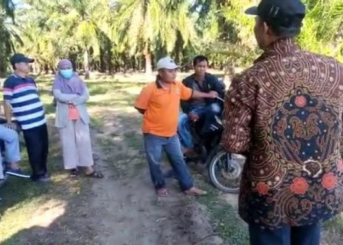 Bupati Seluma Wajib Tahu,Kades Pasar Ngalam Dituding Hambat Buat SKT...Kades : Memang Itu Bukan Cagar Alam..