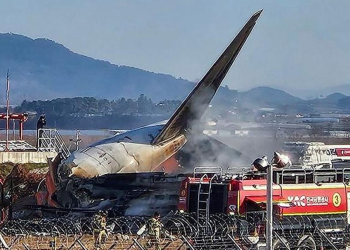  Korban Tewas Kecelakaan Pesawat Jeju Air 176 Orang