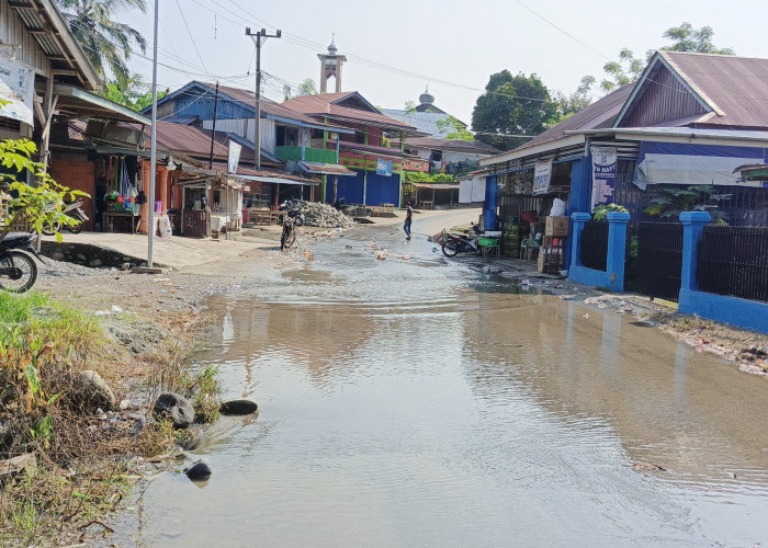  Jalan Lintas Kedurang Bengkulu Selatan Selalu Tergenang Air, Butuh Solusi 