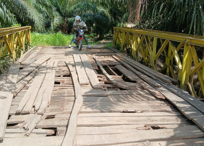 Sempat Terjadi Kecelakaan, Jembatan Rusak di Desa Talang Perapat Dibangun Swadaya