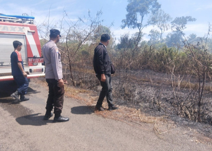  Lahan Perkebunan di Dekat Pasar Kuliner Tais Terbakar!  Warga dan Polisi DIbuat Sibuk