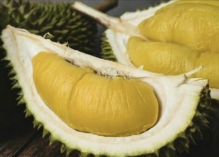 Menikmati Enaknya Durian Seluma, Cocok di Jadikan Es Krim Durian
