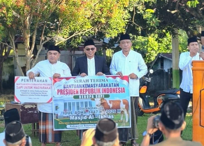  Bupati Seluma Salurkan Hewan Kurban Presiden Bagi Warga Seluma