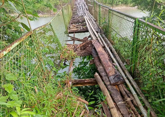  Jembatan Gantung Pandang Manis Makin Rusak