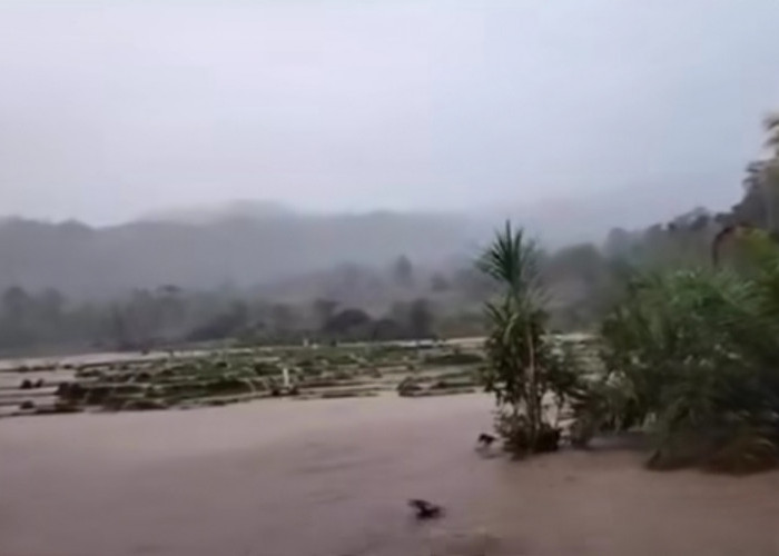 Tiga Titik Jalan Putus, Sawah  Terendam Banjir di Lubuk Resam Seluma