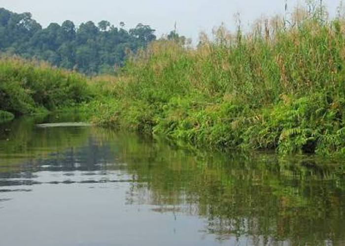 Lahan Cagar Alam Tidak Bisa Disertifikatkan, Ini Penjelasan Resmi BPN