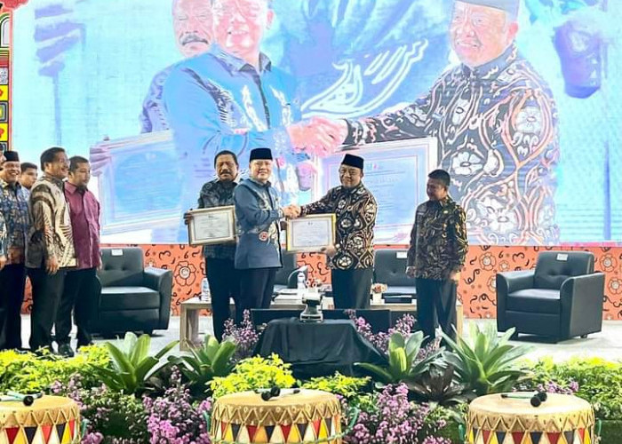 Prestasi, Kabupaten Seluma Raih Penghargaan ke Dua Penyelenggaran Satu Data Indonesia, se Provinsi Bengkulu 