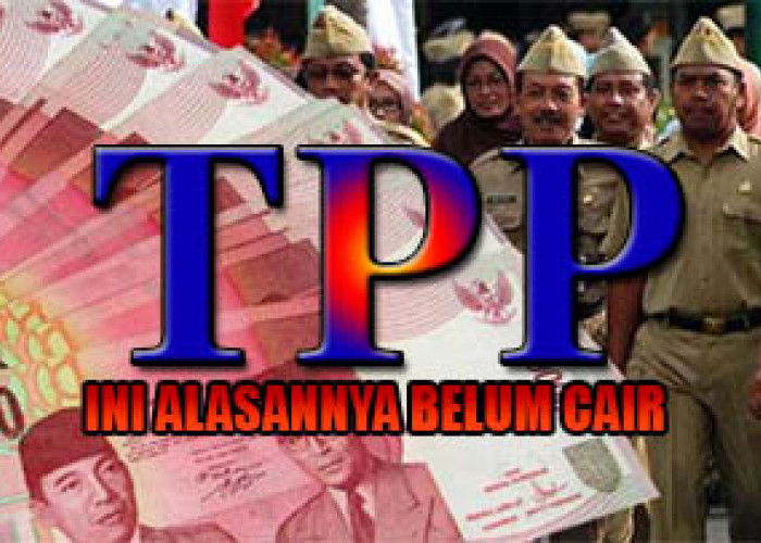 Informasi Masalah TPP ASN di Seluma, 2 Bulan Tidak Cair.. .Ternyata Ini!!!
