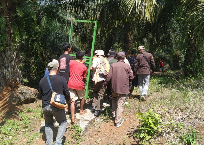 Hewan Buas Masuk Perkampungan, Ada Indikator Habitanya Mulai Terganggu! Makanan Menipis