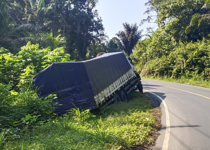   Hindari Travel, Mobil Truk Tronton Muatan Bungkil 28 Ton Masuk Siring 