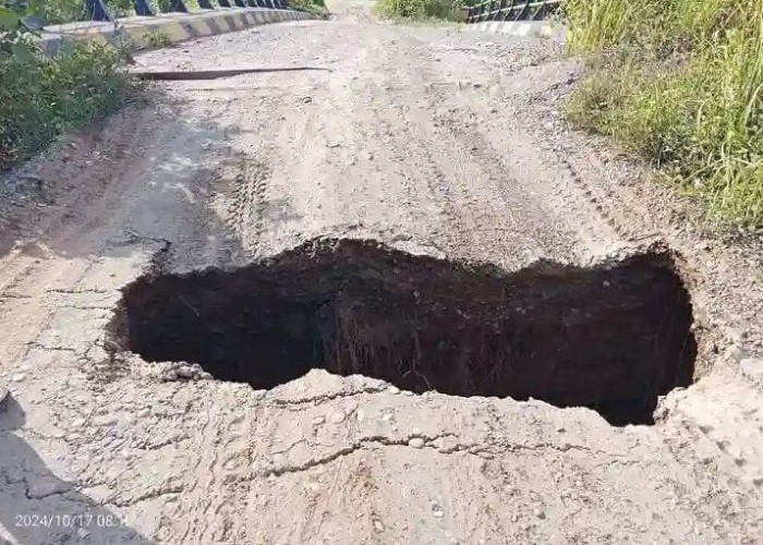 Jembatan Amblas Tak Bisa Dilalui, Puluhan Hektare Sawah di Pasar Seluma Rusak