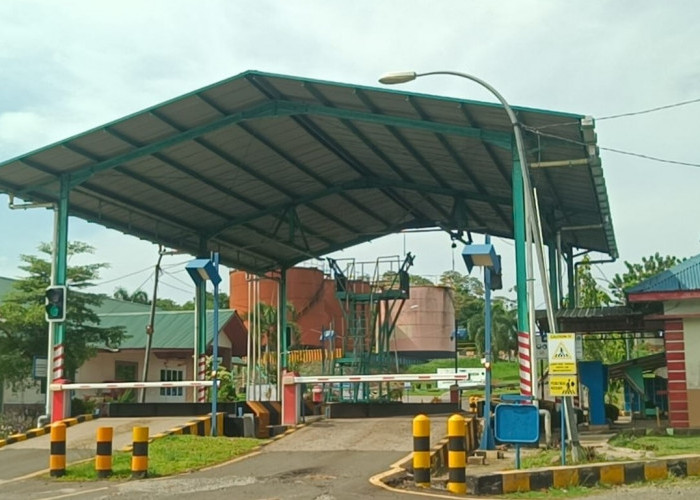 Resmi Tutup, Pabrik CPO PT Agrindo Indah Persada Sedang Selesaikan Proses PHK Ratusan Pekerja