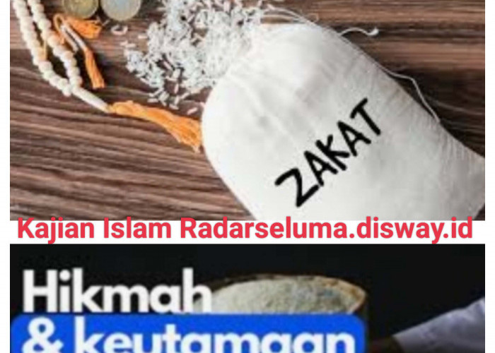 Keutamaan Zakat Menurut Islam, Salah Satunya Mendatangkan Keberkahan  