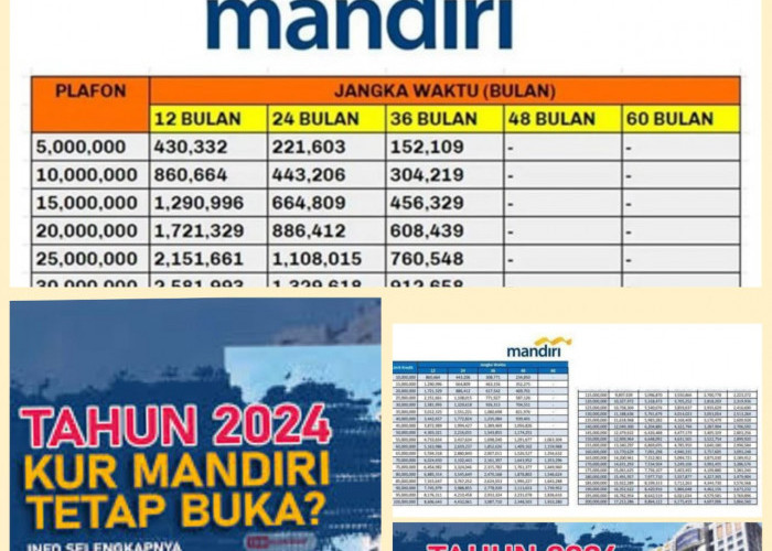 KUR Mandiri 2024! Pinjaman Nominal Ini Tanpa Jaminan, Berikut Kriteria Peminjam KUR Mandiri 2024!