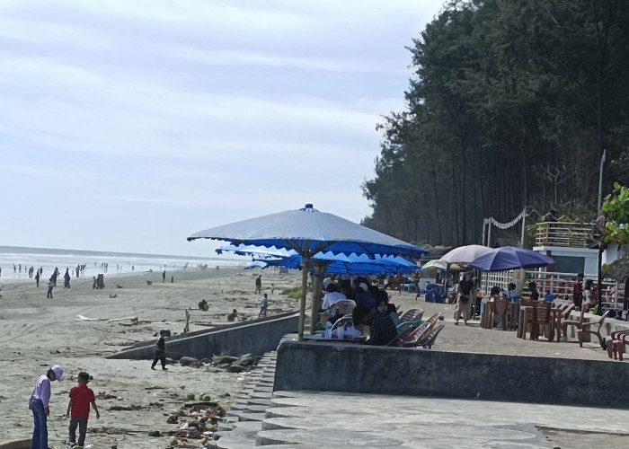 Pantai Pasar Putih Bengkulu Tempat Wisatawan Nikmati Makanan Ciri Khas Bengkulu Ditemani Angin Segar 