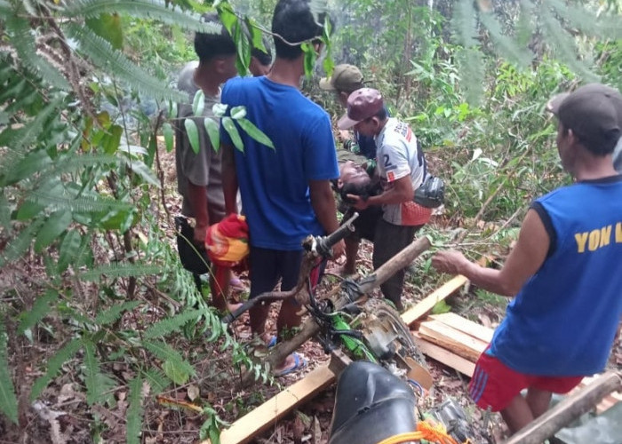  Ditimpa Kayu Ojekan, Pengojek Kayu di Seluma Meninggal Dunia di Jalan Kebun