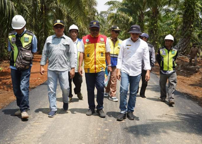 Bupati Bengkulu Selatan sambangi pembangunan jalan Matai menghubungkan Palak Siring