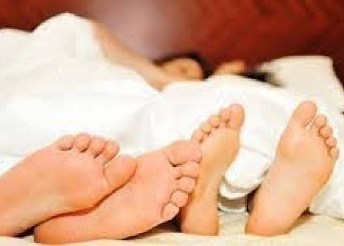 Fenomena Kumpul Kebo di Indonesia, Alasan, Dampak, dan Fakta Sosial yang Perlu Diketahui