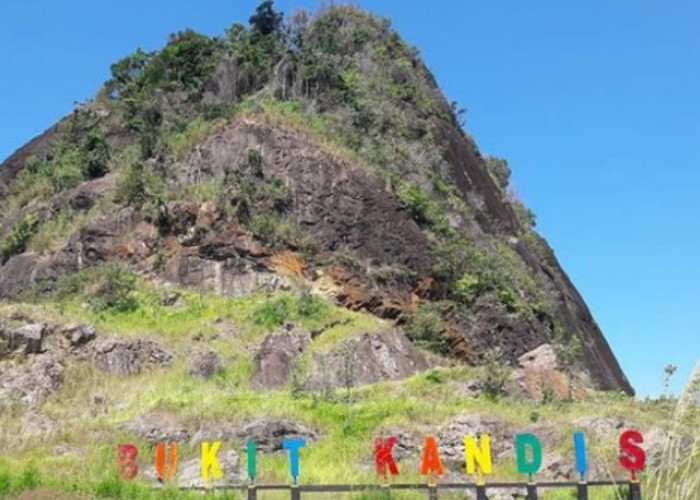 Bukit Kandis: Pesona Alam dari Ketinggian