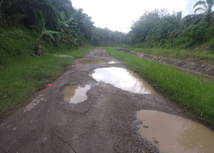 Jalan Padang Rambun ke Pemda Seluma Rusak Parah