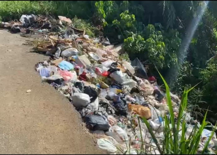  Pemkab Seluma Dorong Perda Sanksi bagi Pembuang Sampah Sembarangan