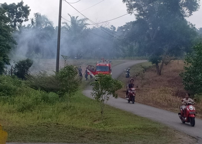  Damkar Seluma Minta Jangan Buka Lahan Dengan Dibakar, Sedang Musim Kemarau Berbahaya